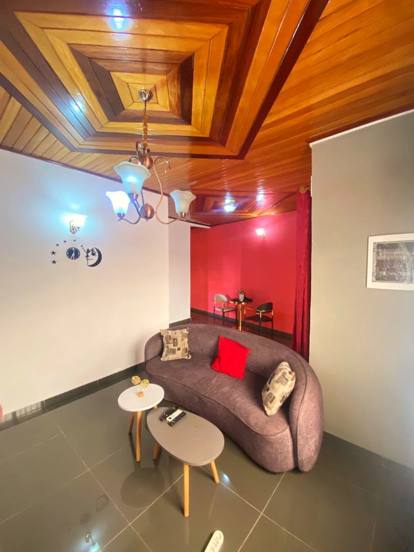 Plafond en lambris et salon